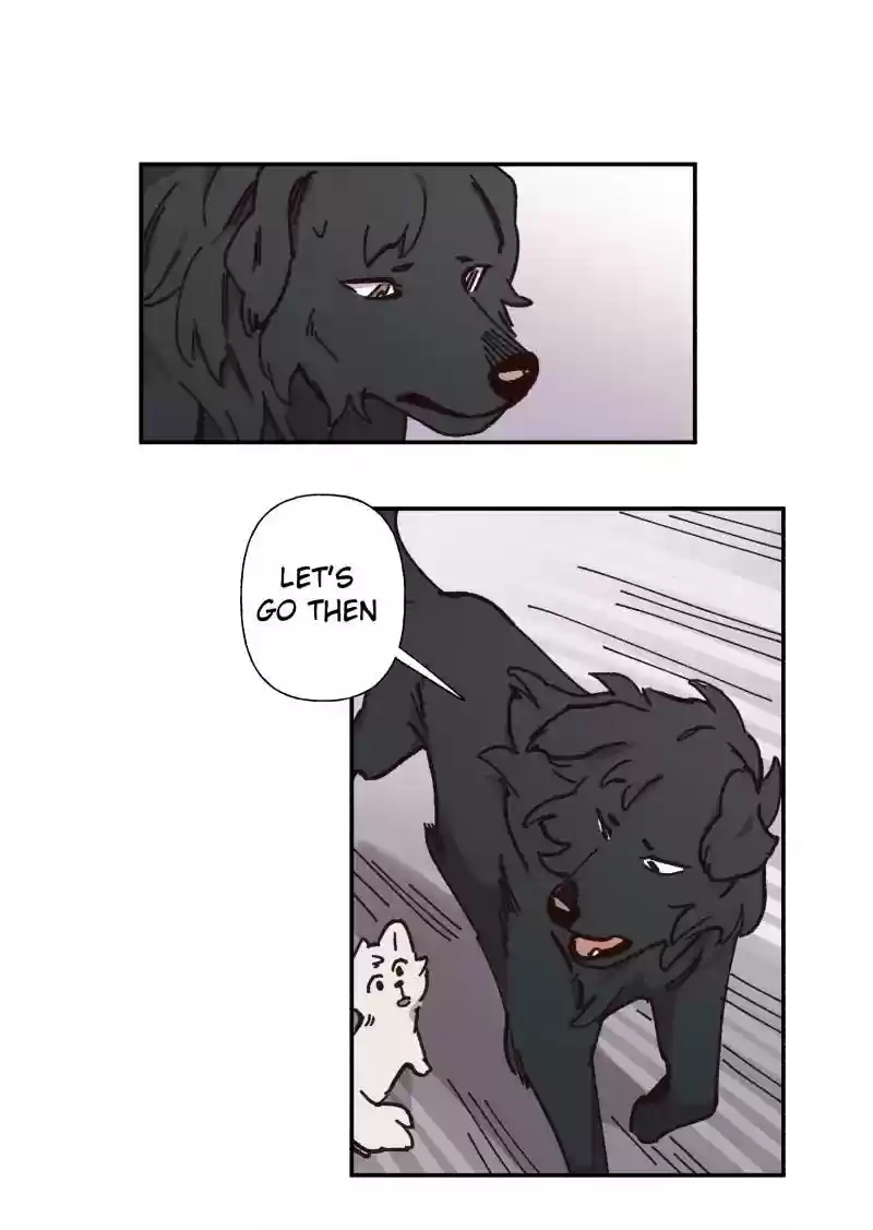 Read LUMINE Manga Online