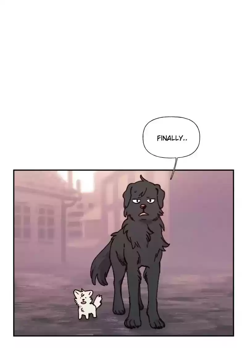 Read LUMINE Manga Online