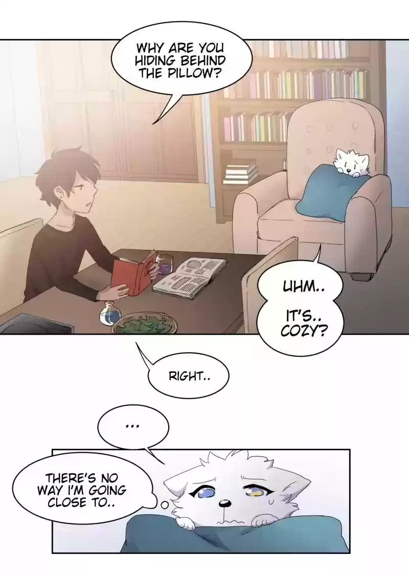 Read LUMINE Manga Online