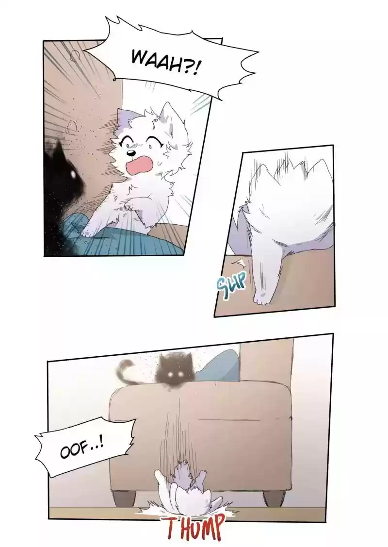 Read LUMINE Manga Online