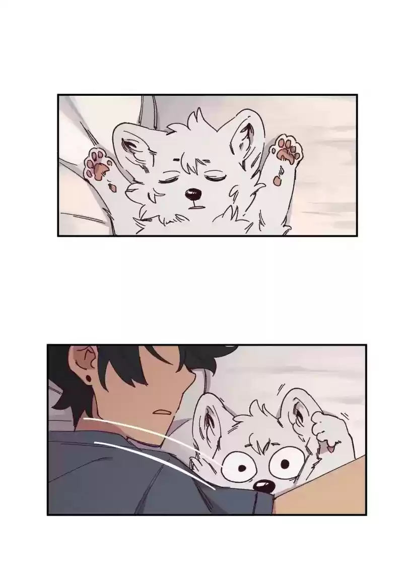 Read LUMINE Manga Online