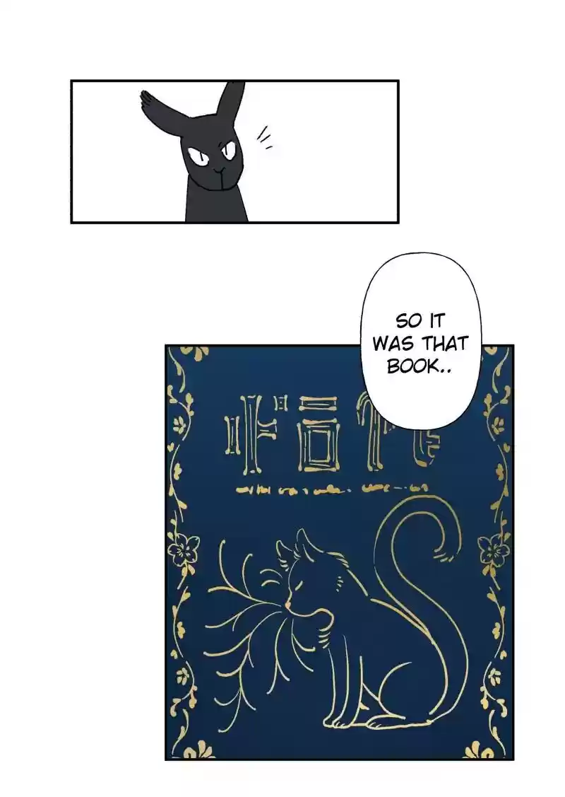 Read LUMINE Manga Online