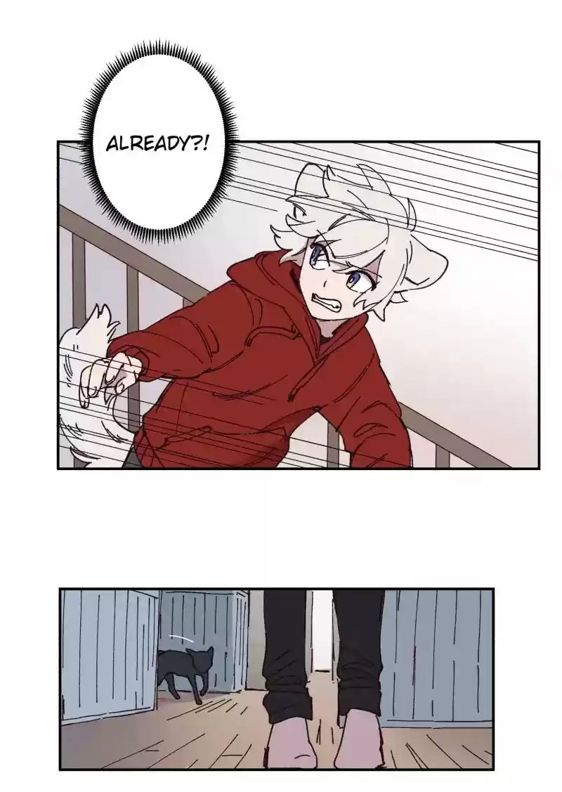 Read LUMINE Manga Online