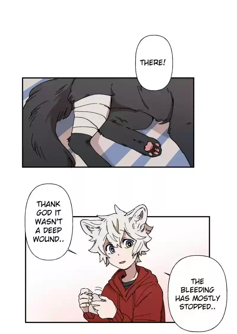 Read LUMINE Manga Online