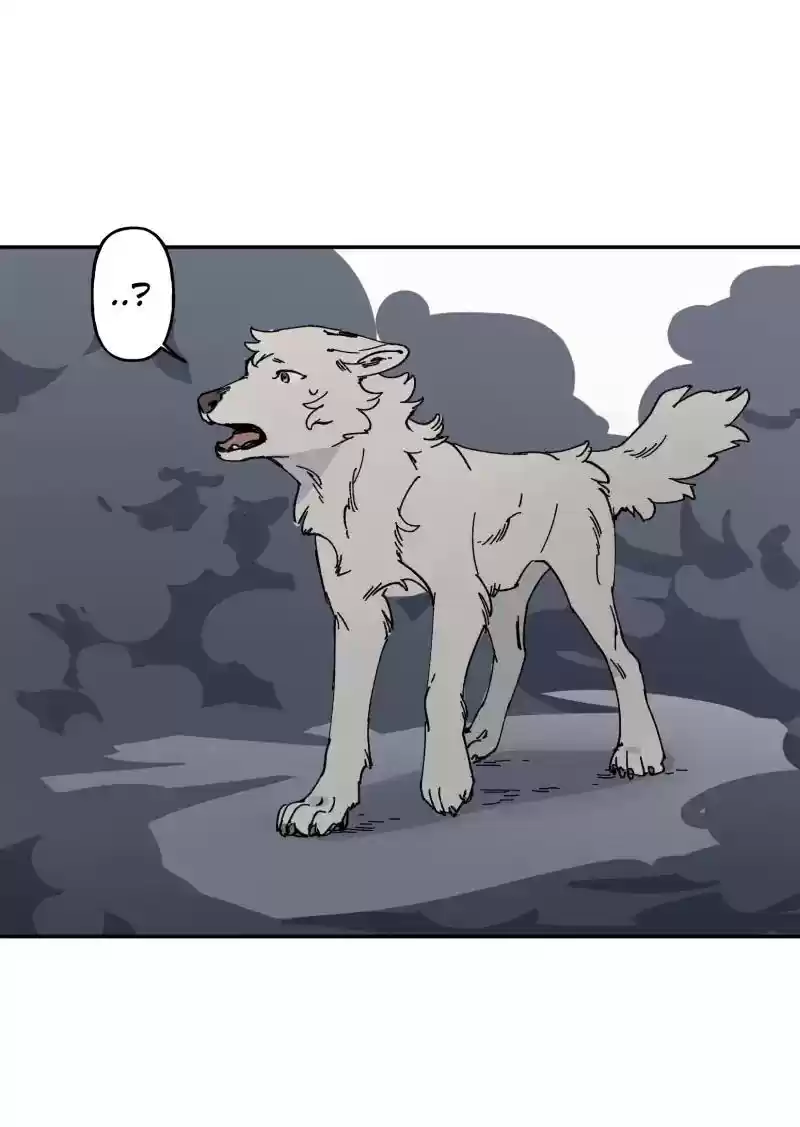 Read LUMINE Manga Online