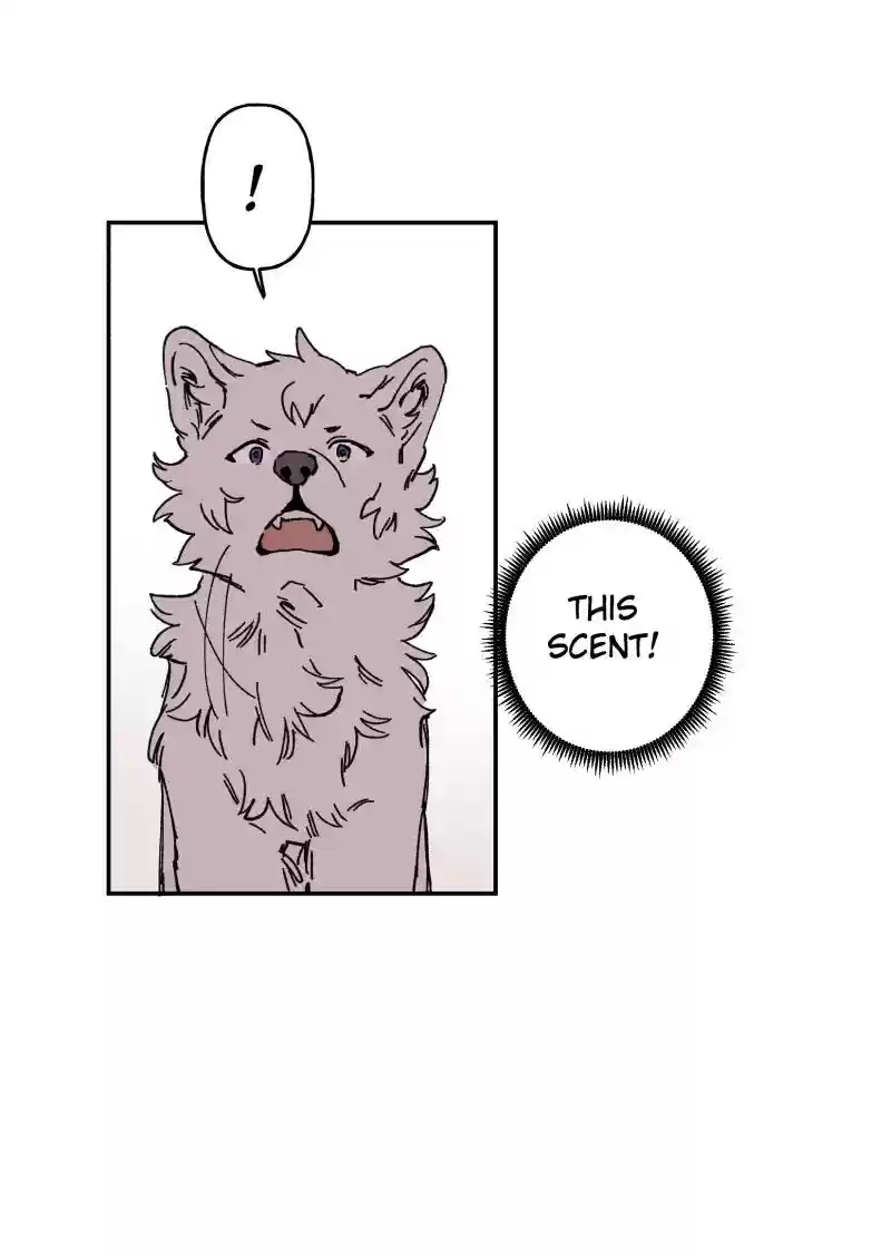 Read LUMINE Manga Online