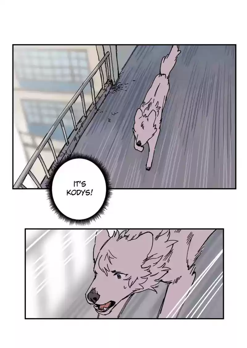 Read LUMINE Manga Online