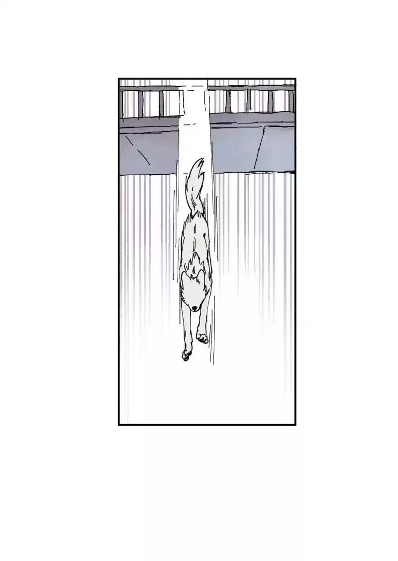 Read LUMINE Manga Online