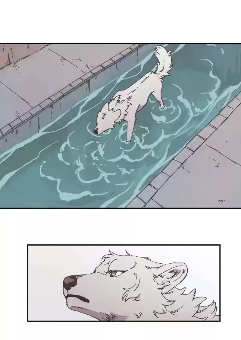 Read LUMINE Manga Online