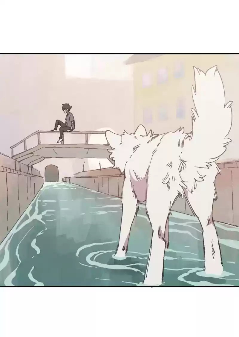 Read LUMINE Manga Online