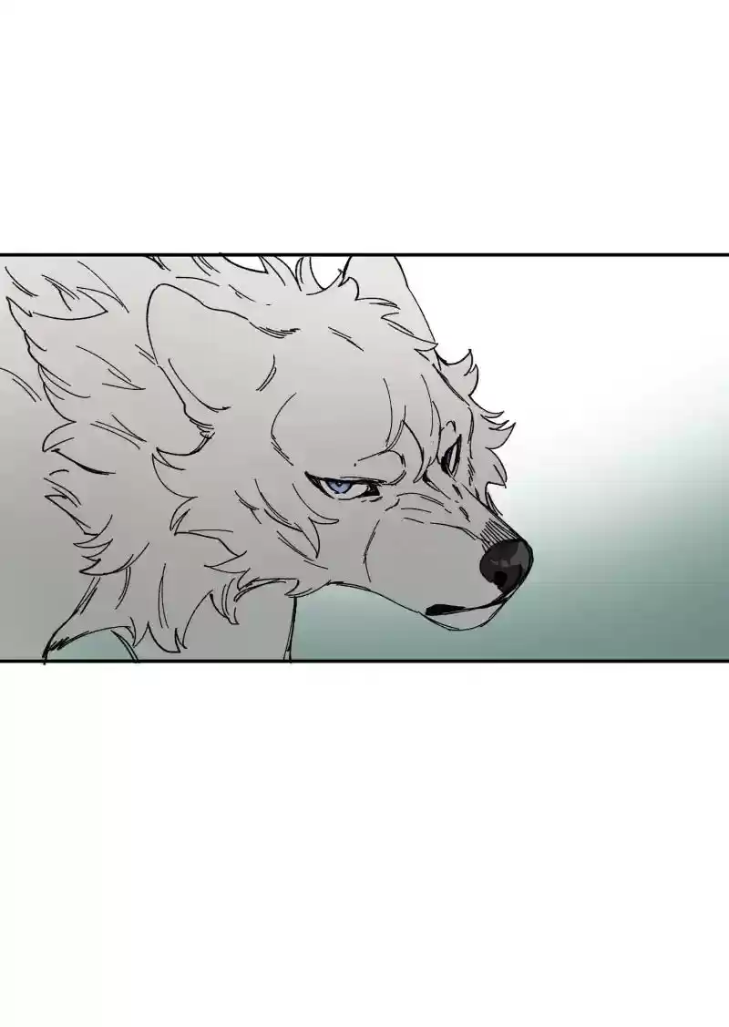 Read LUMINE Manga Online