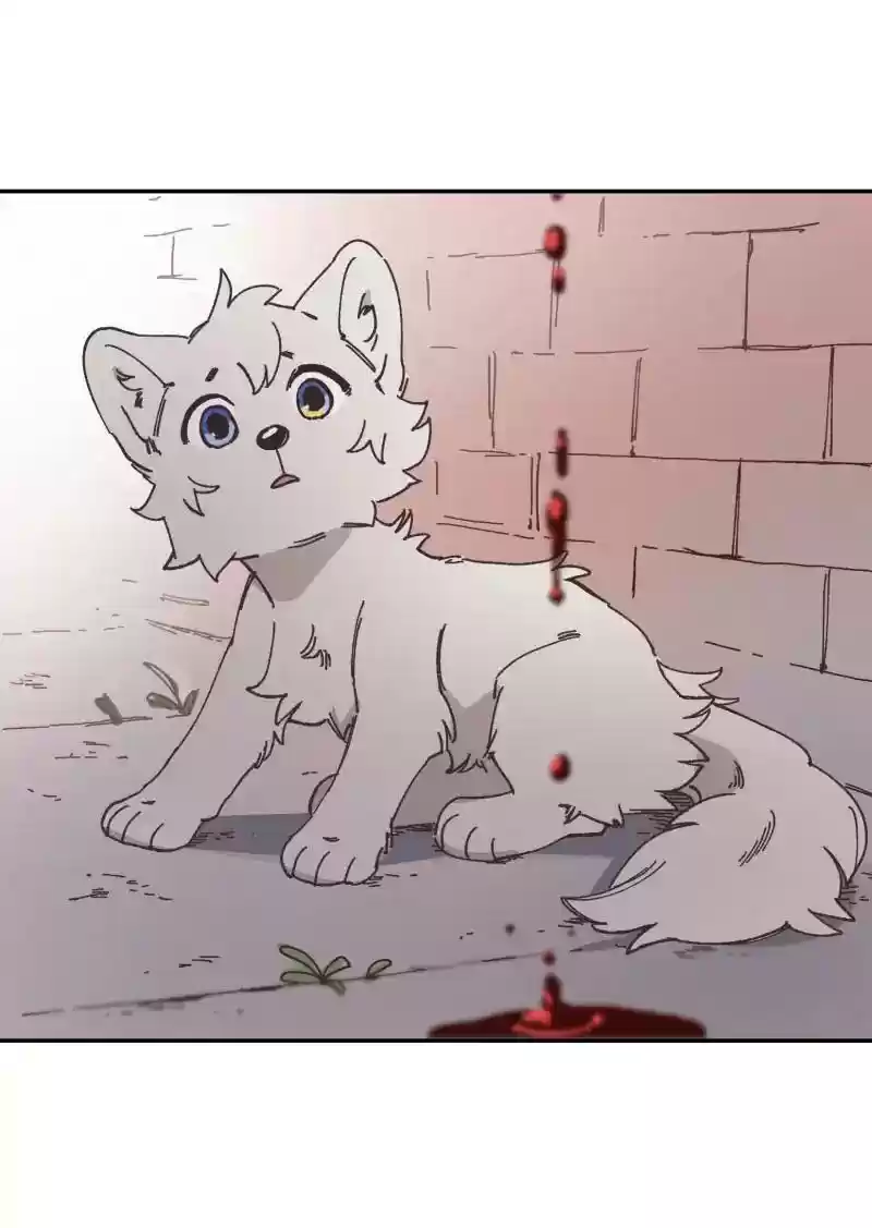 Read LUMINE Manga Online