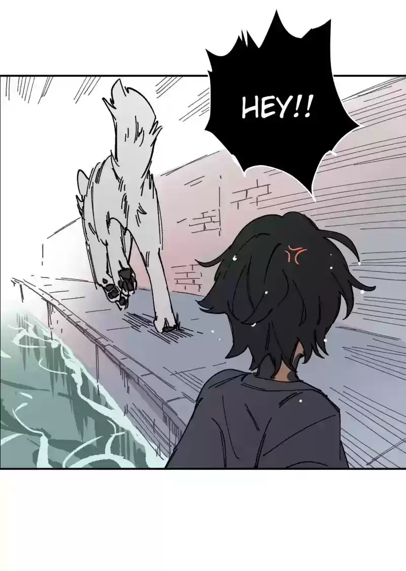 Read LUMINE Manga Online