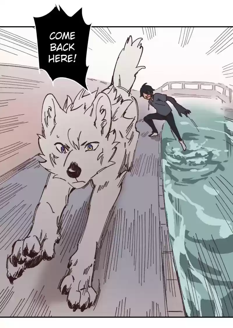Read LUMINE Manga Online
