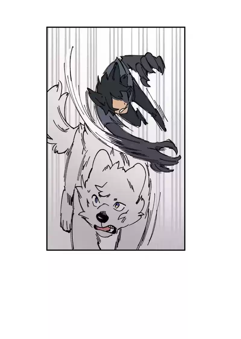 Read LUMINE Manga Online