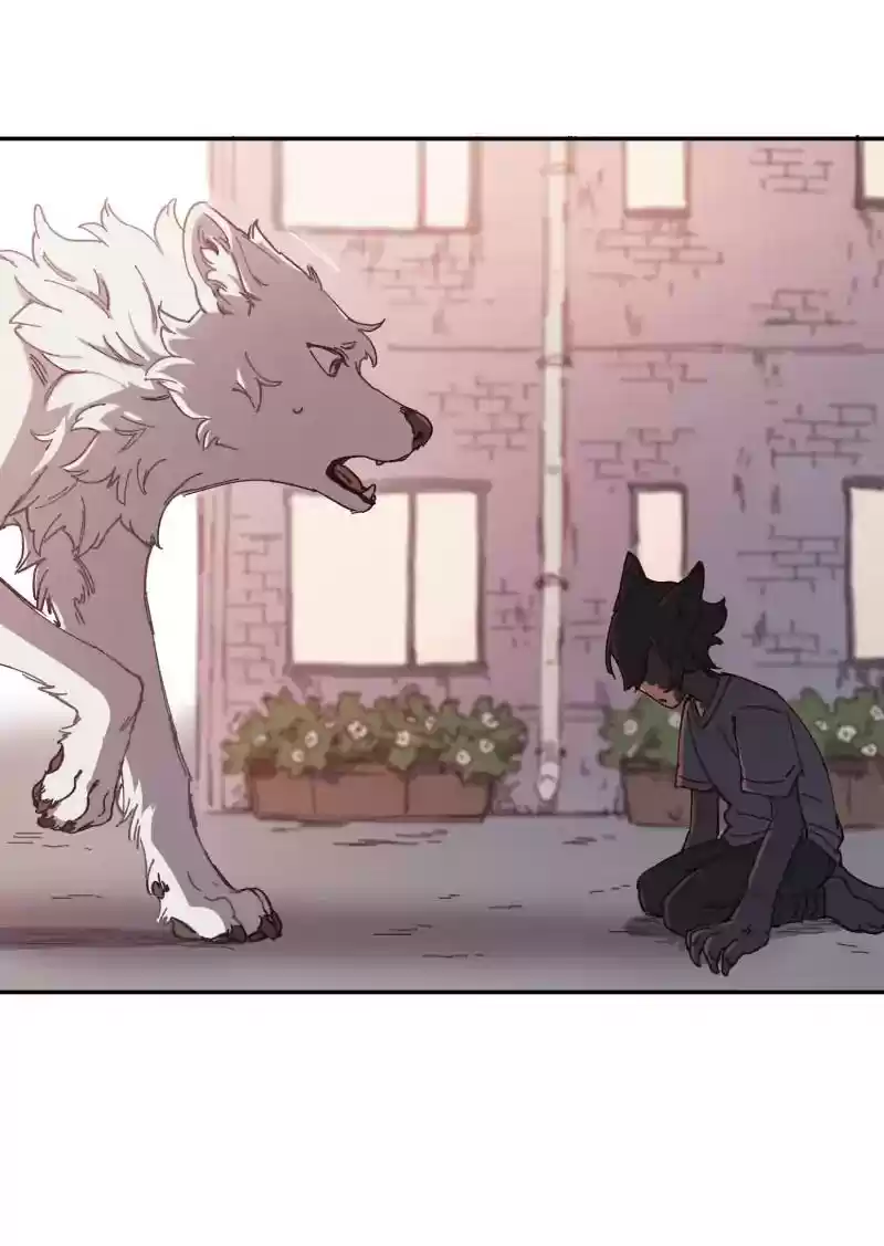 Read LUMINE Manga Online