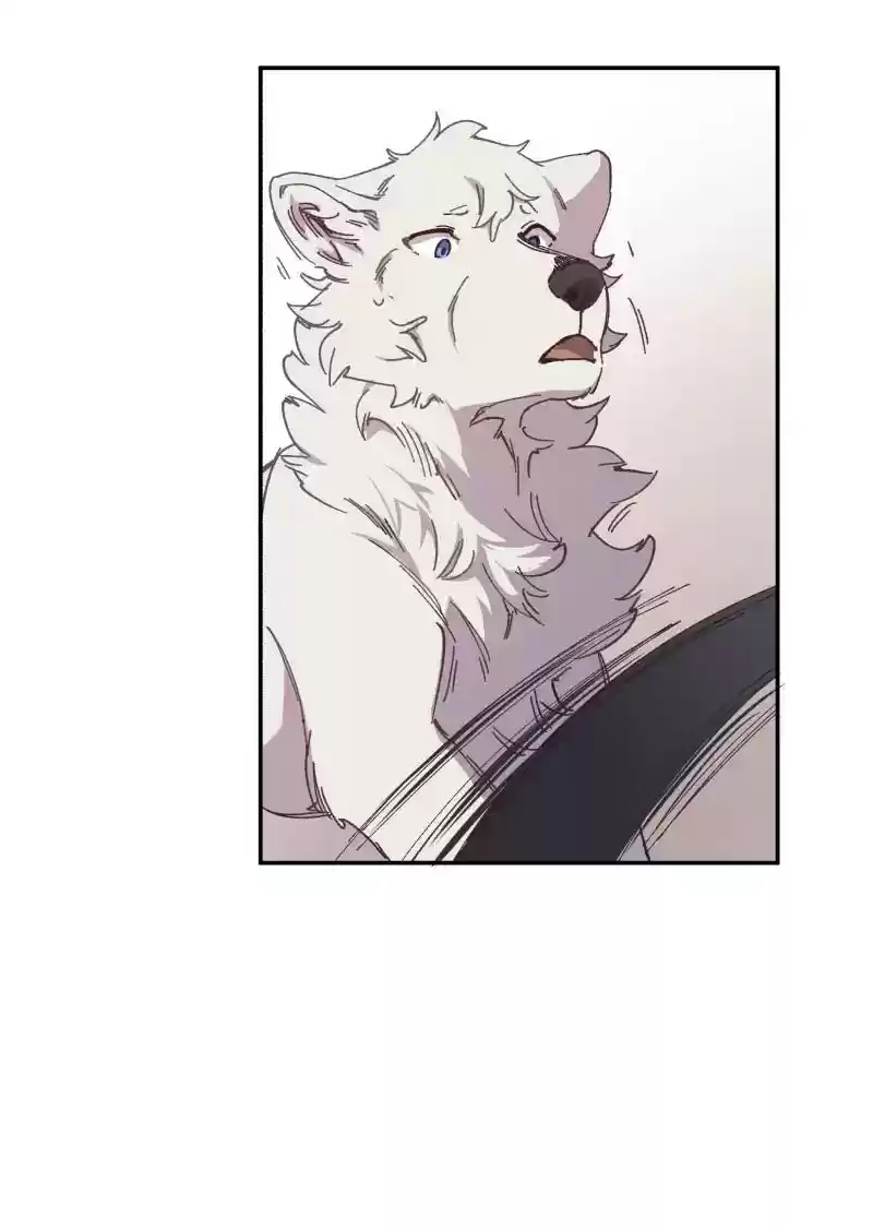 Read LUMINE Manga Online