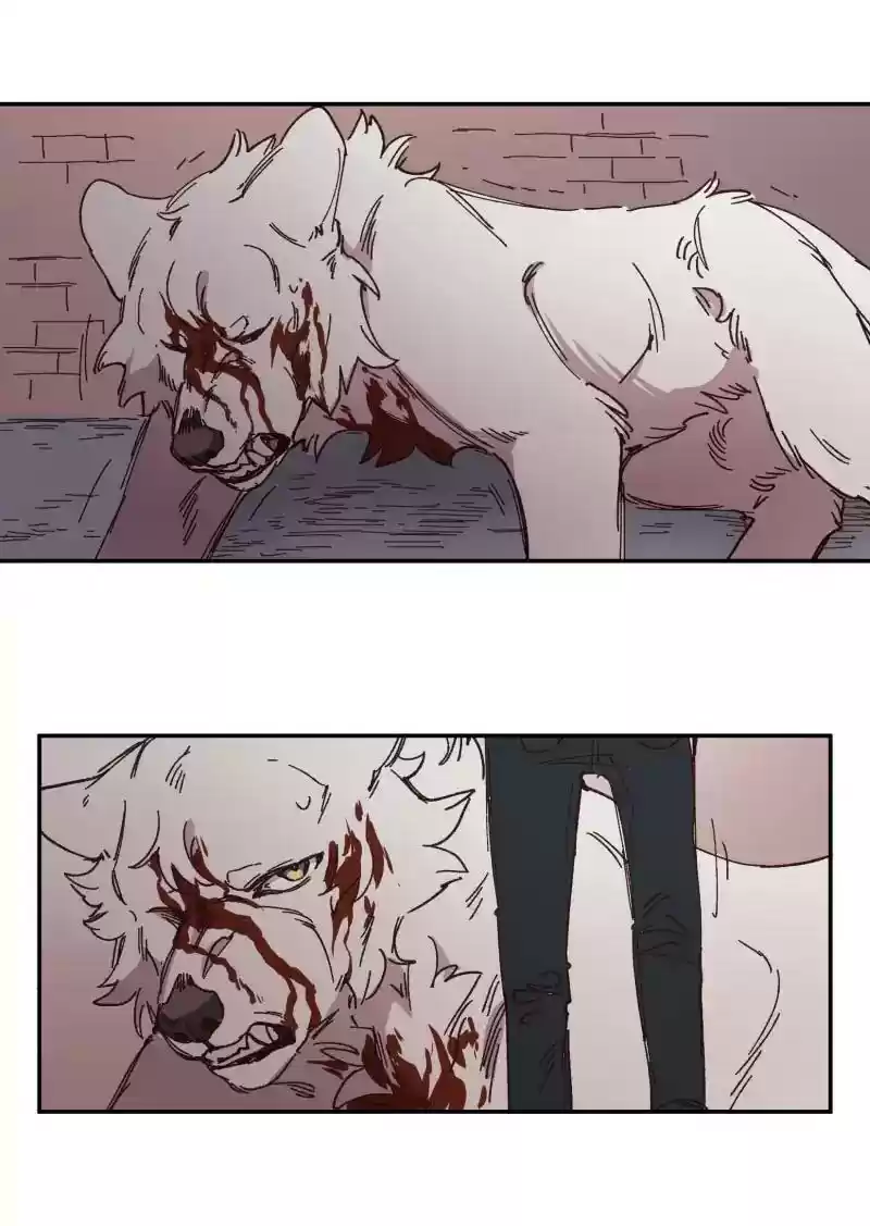 Read LUMINE Manga Online
