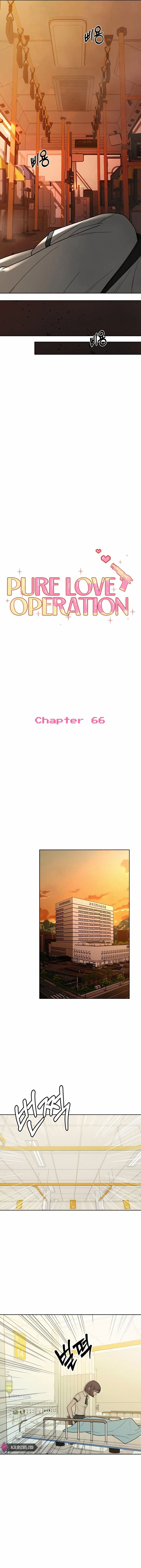 Read Pure Love Operation Manga Online