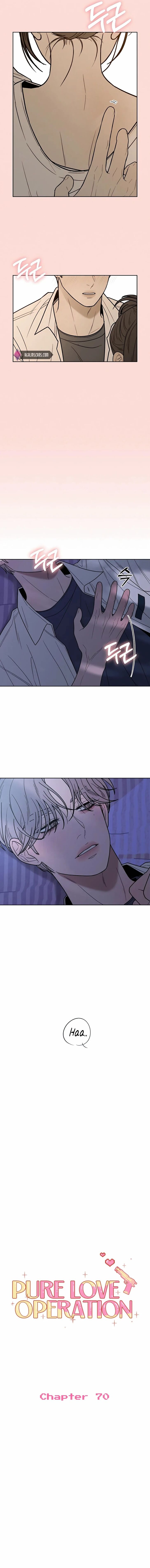 Read Pure Love Operation Manga Online