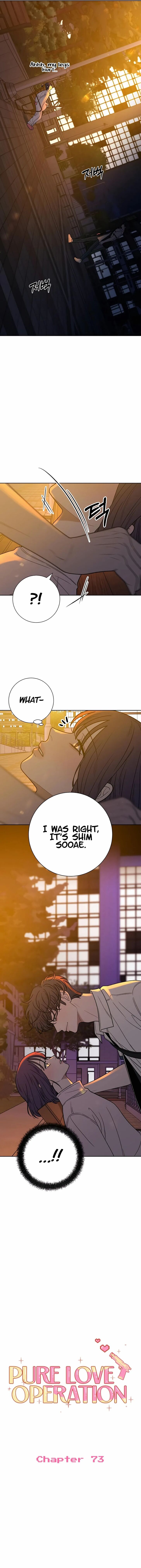Read Pure Love Operation Manga Online