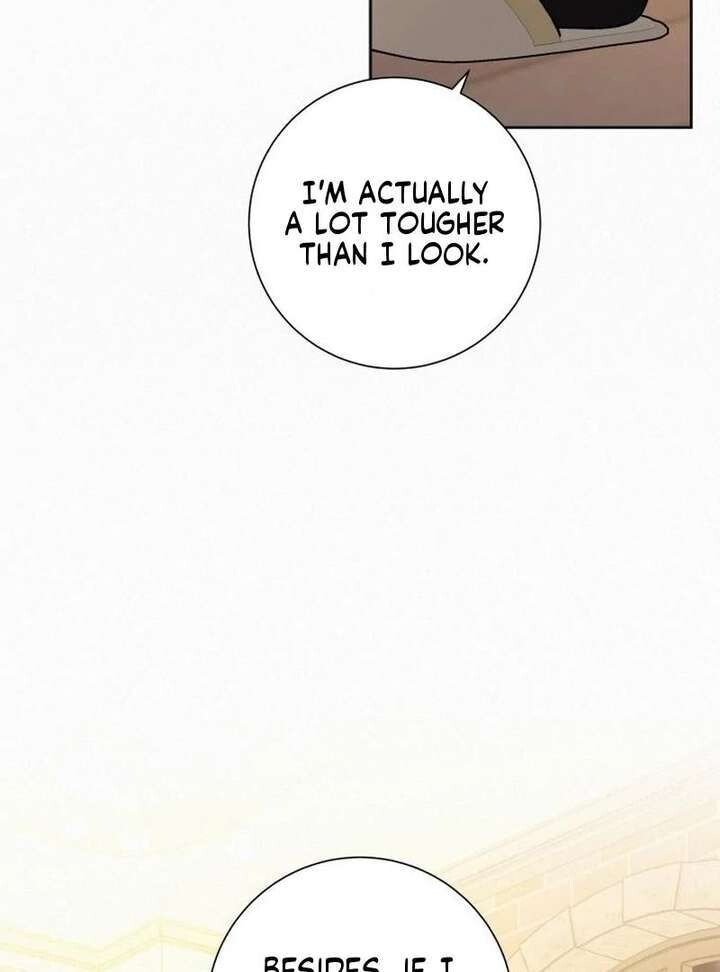 Read Pure Love Operation Manga Online