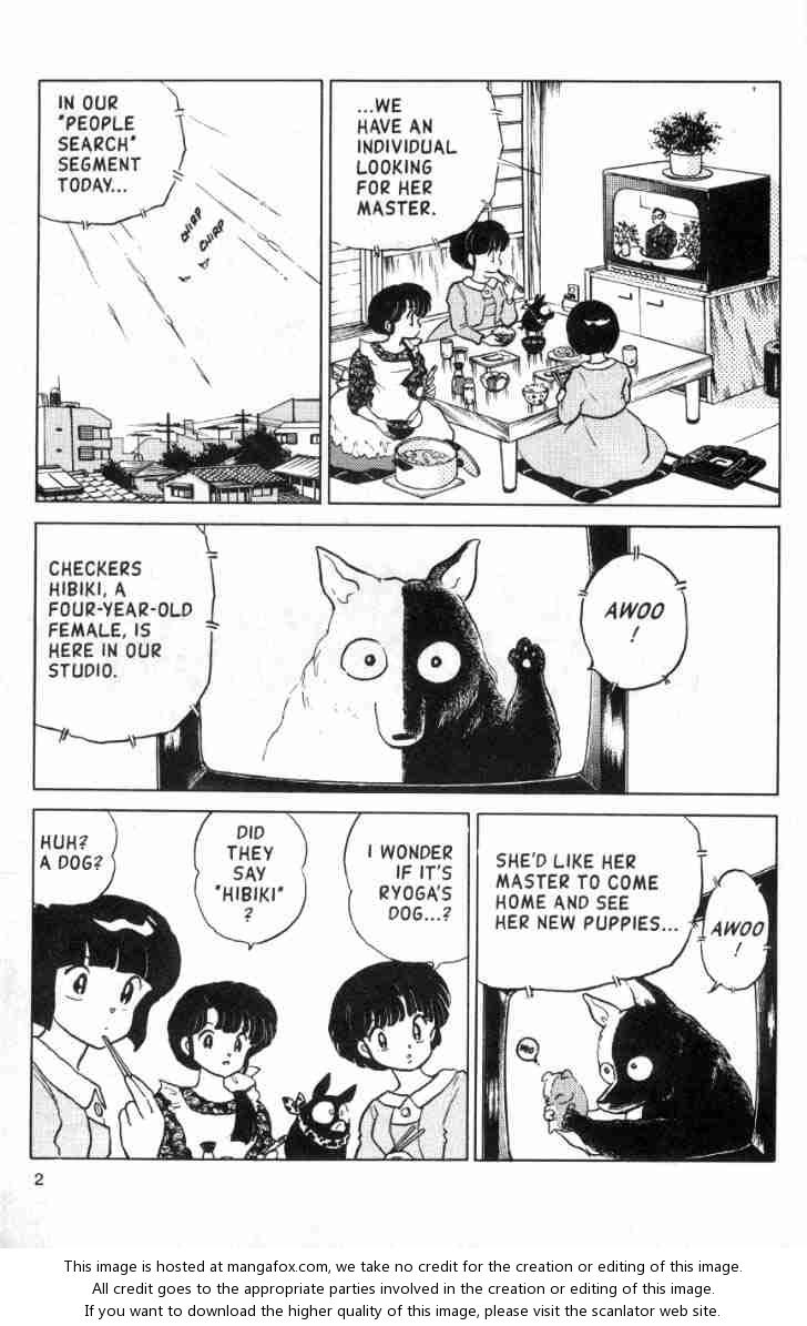 Read Ranma 12 Manga Online