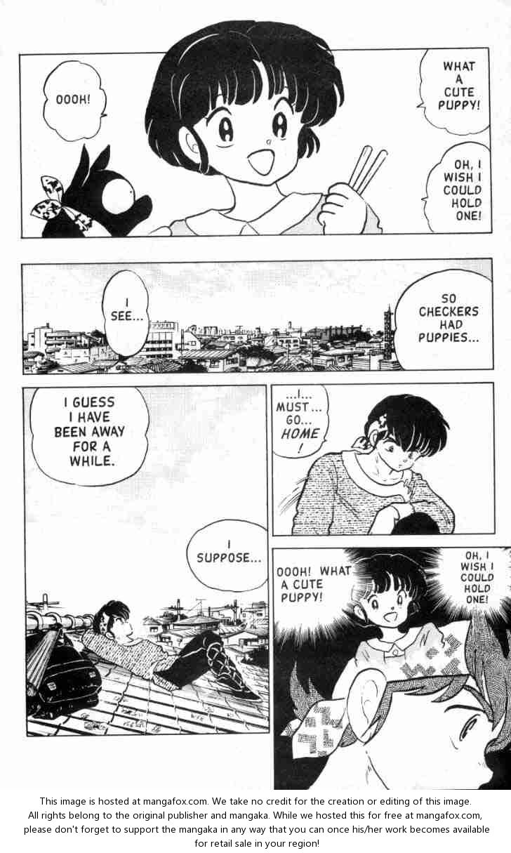 Read Ranma 12 Manga Online