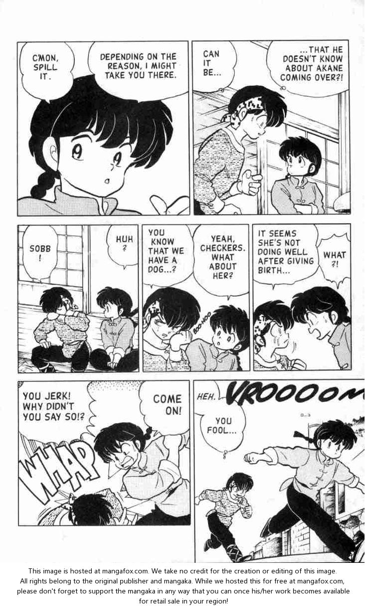 Read Ranma 12 Manga Online