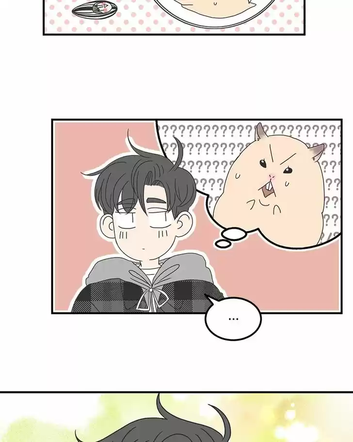 Read Romance 101 Manga Online