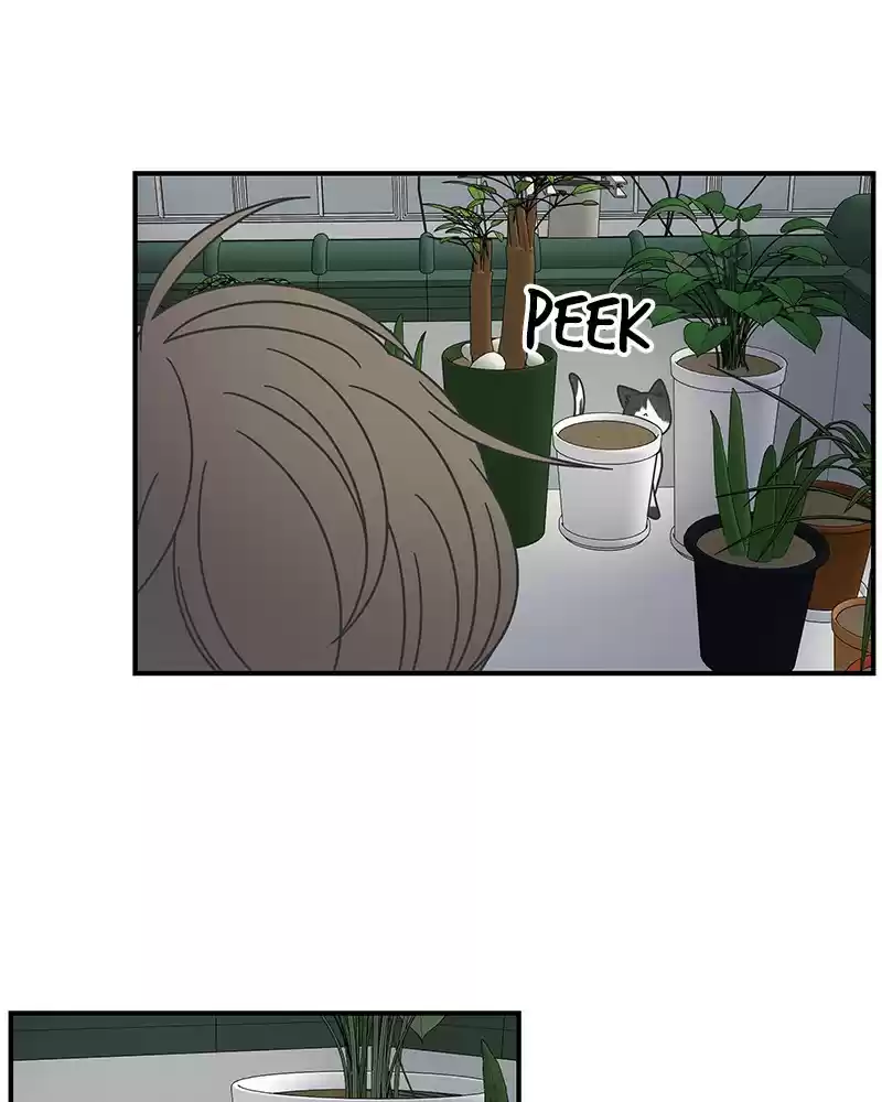 Read Romance 101 Manga Online