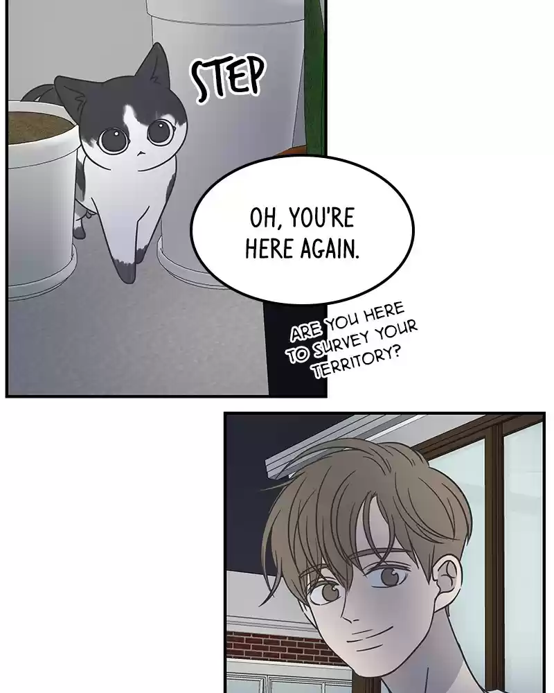 Read Romance 101 Manga Online