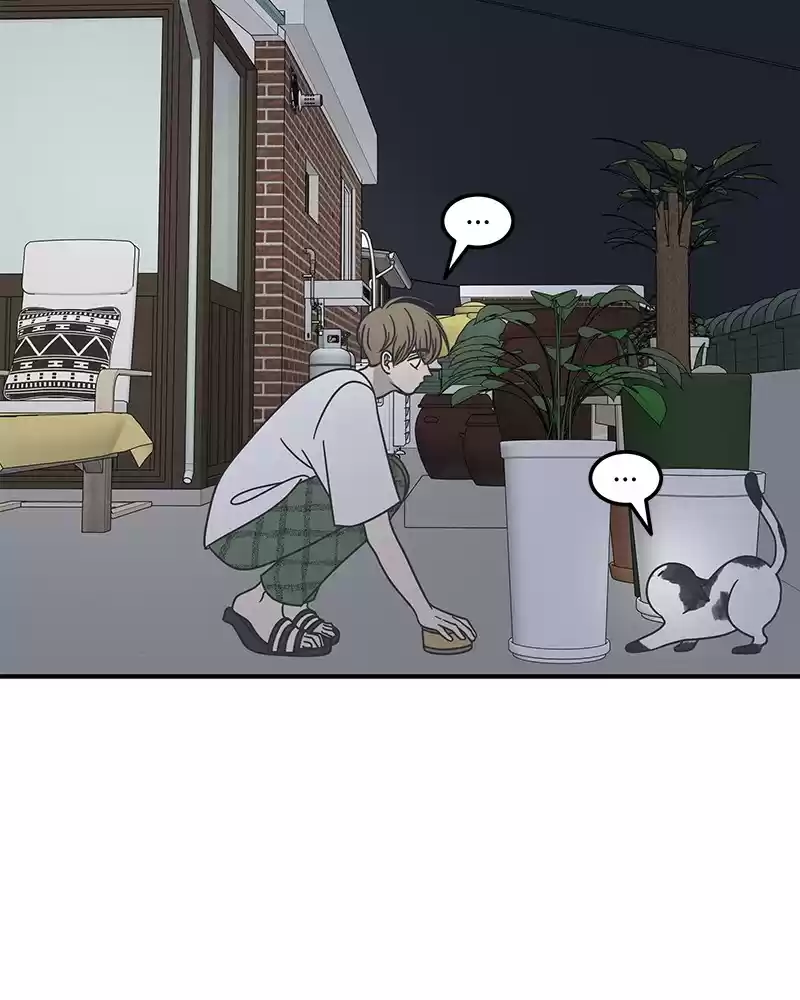 Read Romance 101 Manga Online