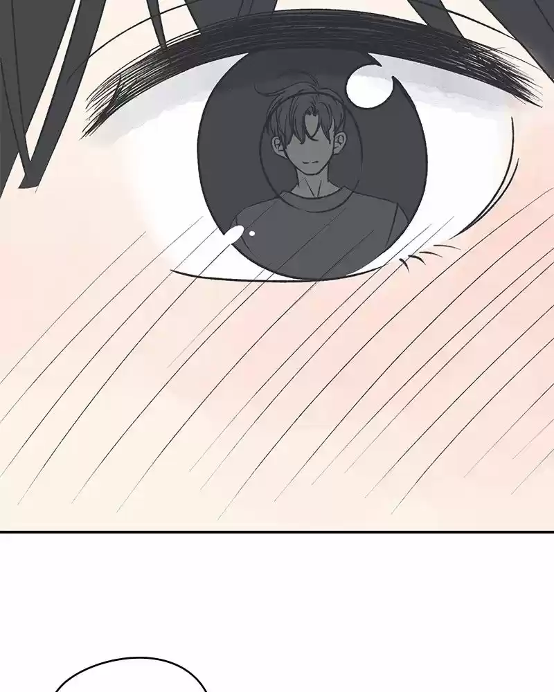 Read Romance 101 Manga Online