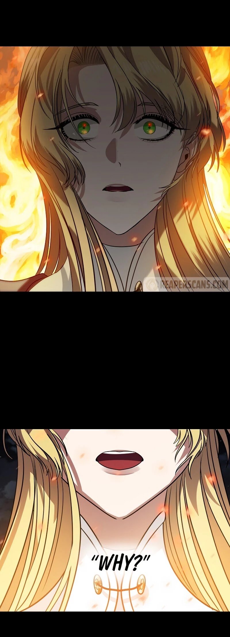 Read SSS-Class Suicide Hunter Manga Online