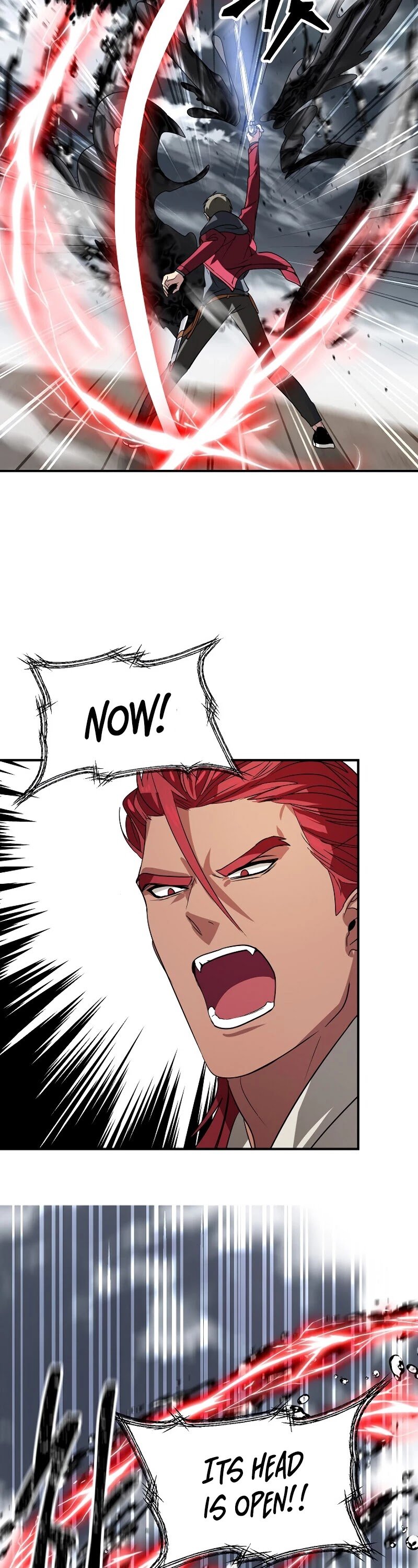 Read SSS-Class Suicide Hunter Manga Online