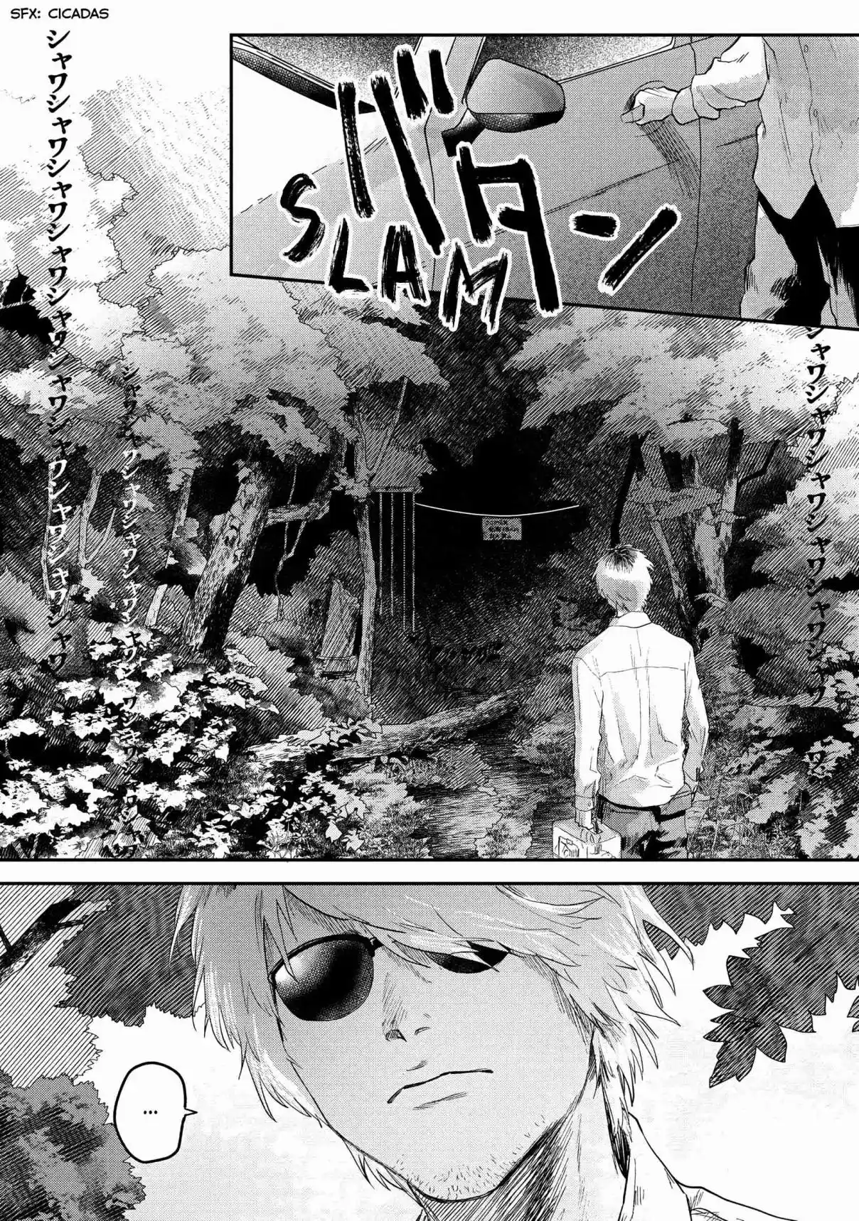 Read The Summer Hikaru Died Manga Online