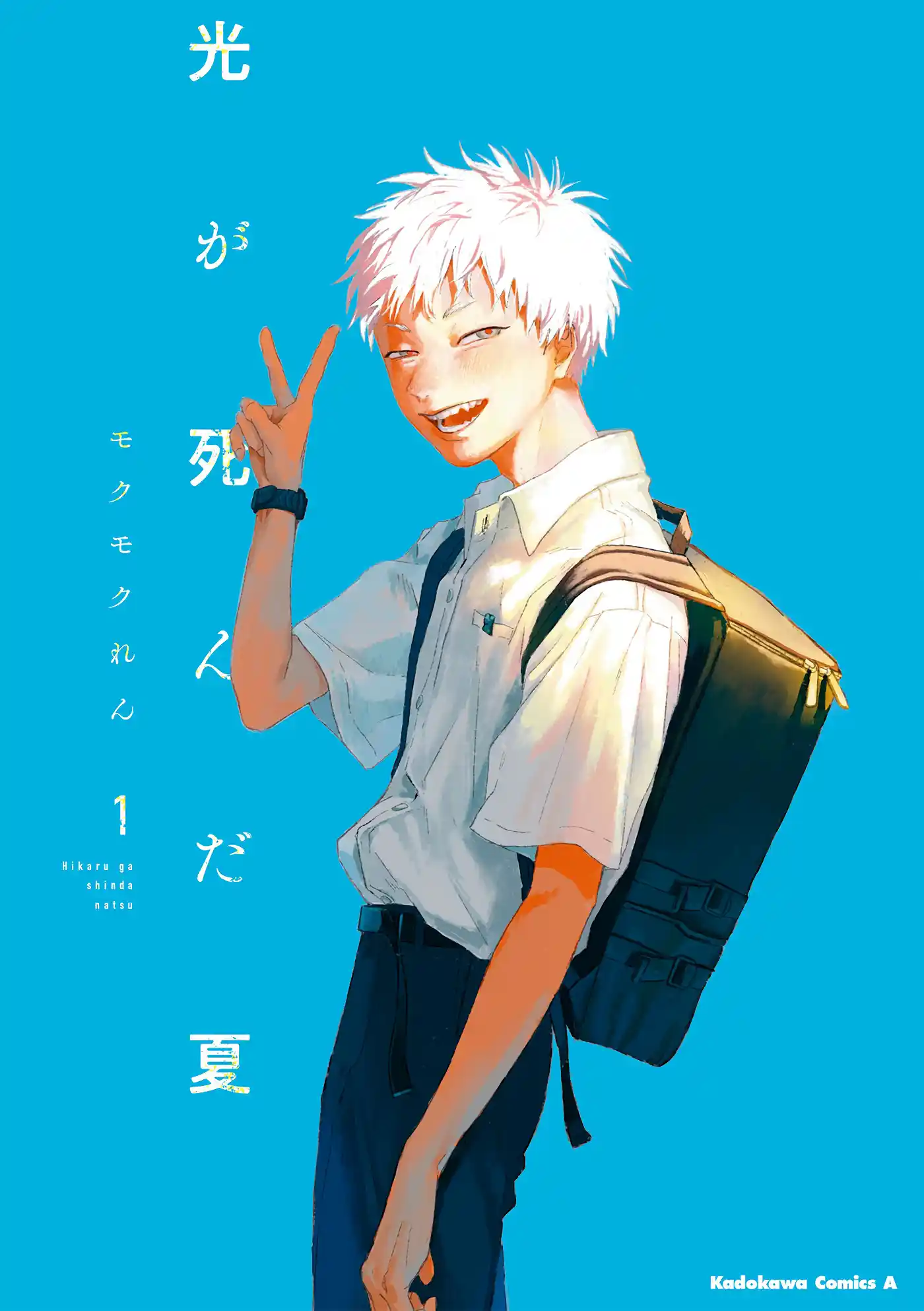 Read The Summer Hikaru Died Manga Online