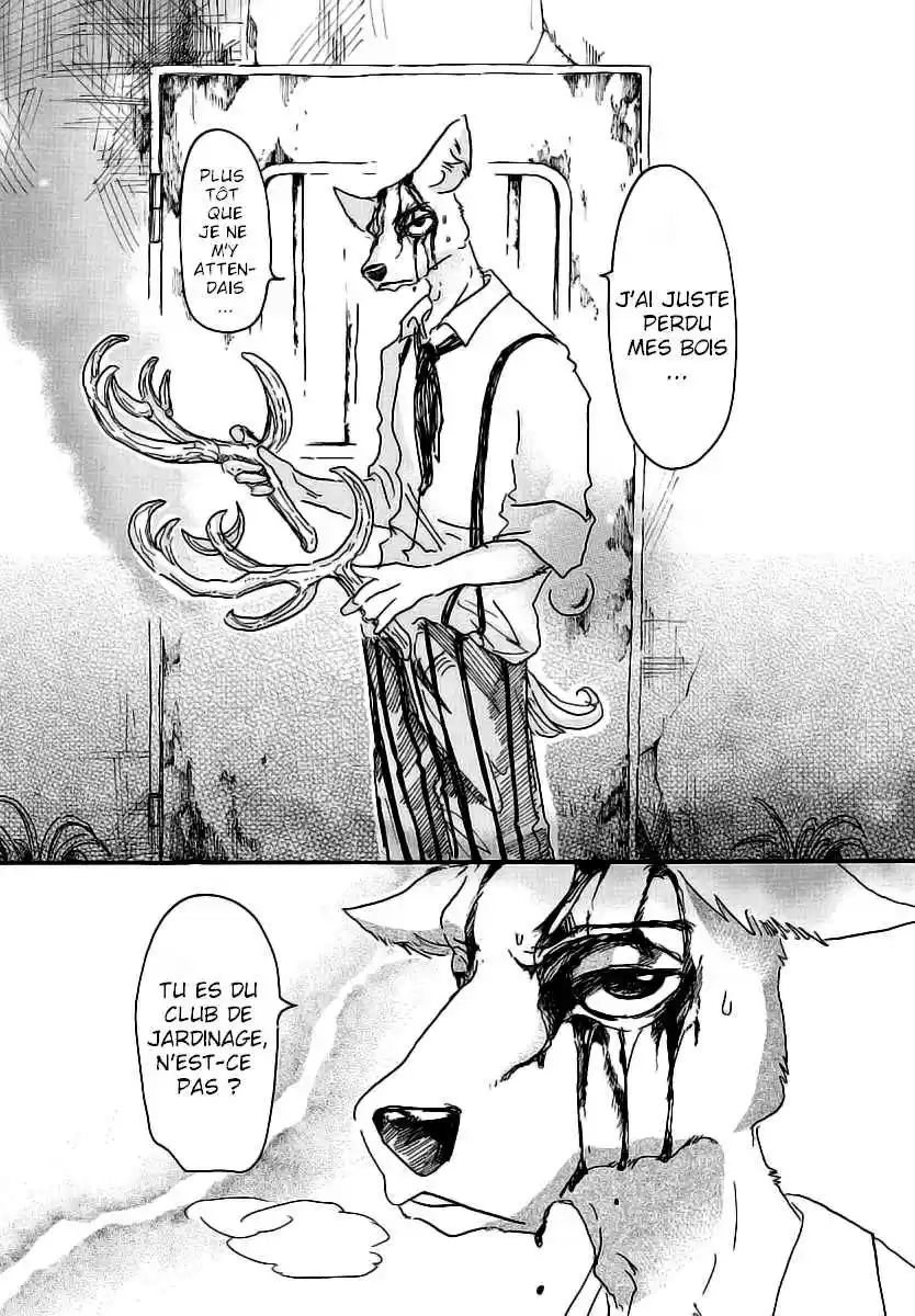 Read Beastars FR Manga Online