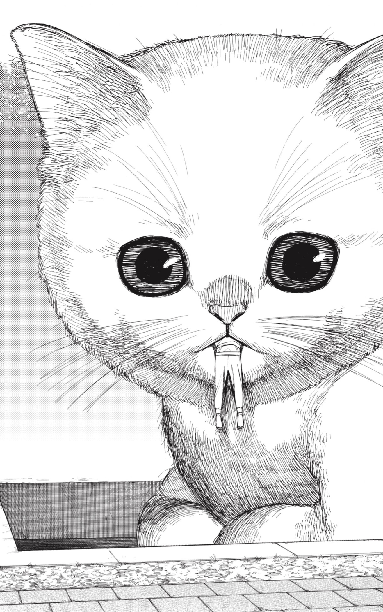 Read Dandadan Español Manga Online