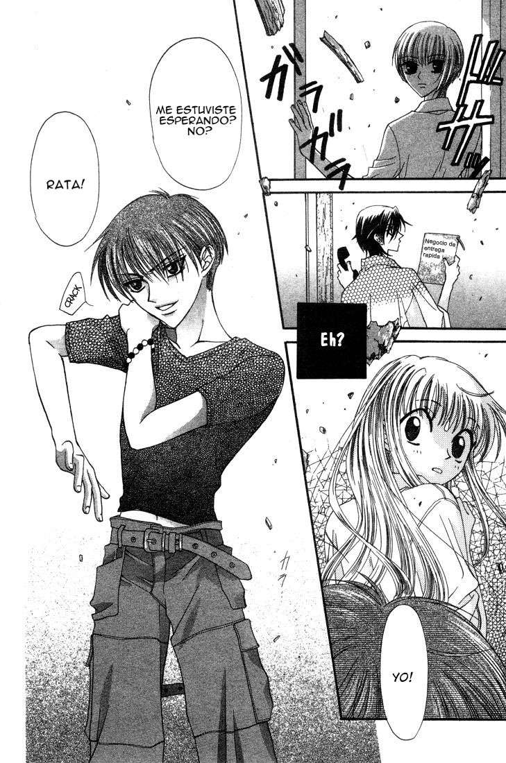 Read Fruits Basket es Manga Online