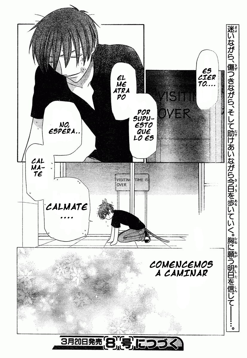 Read Fruits Basket es Manga Online