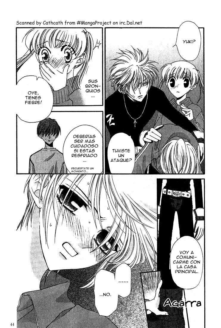 Read Fruits Basket es Manga Online
