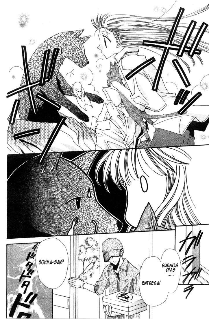 Read Fruits Basket es Manga Online