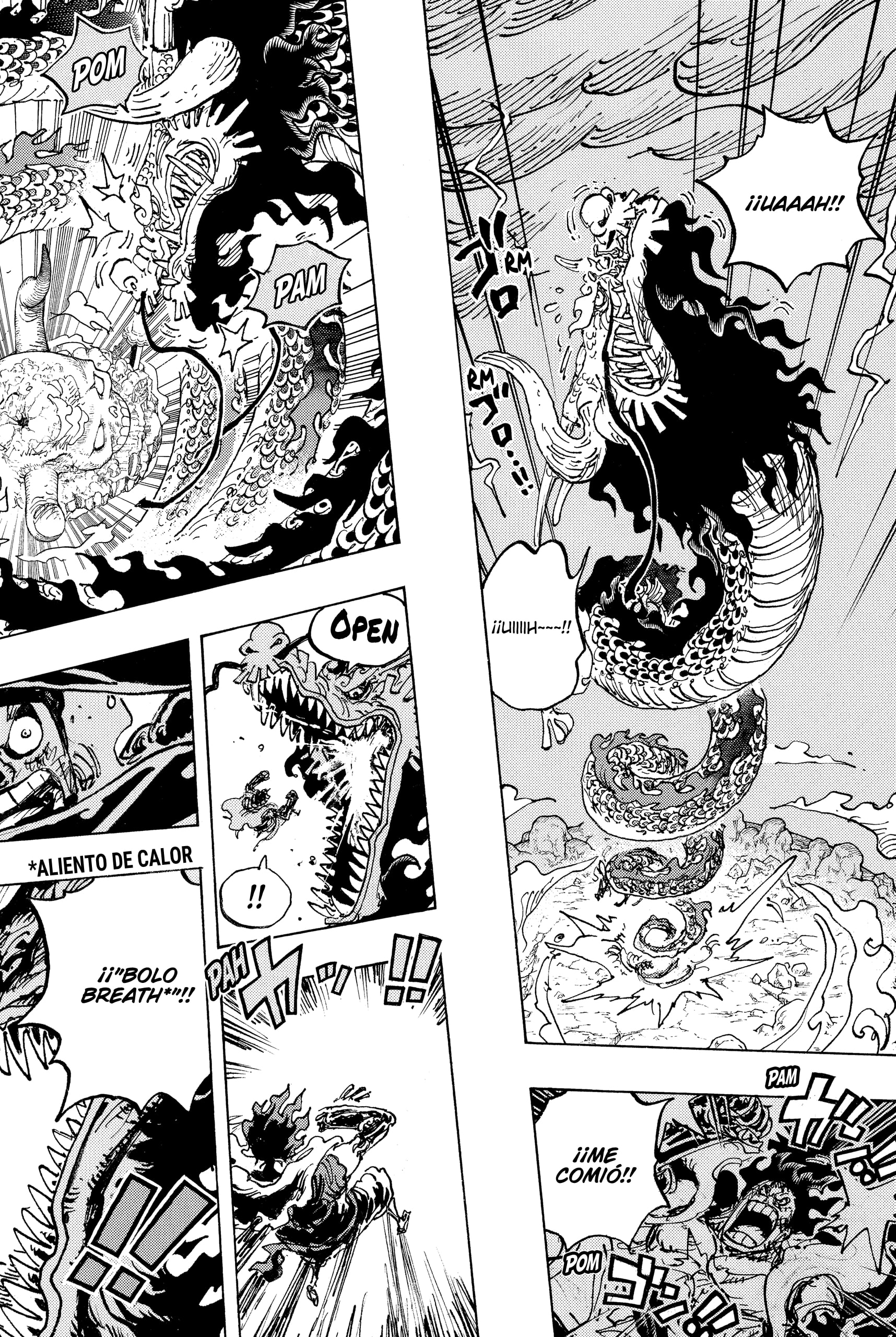 Read One Piece .Es Manga Online