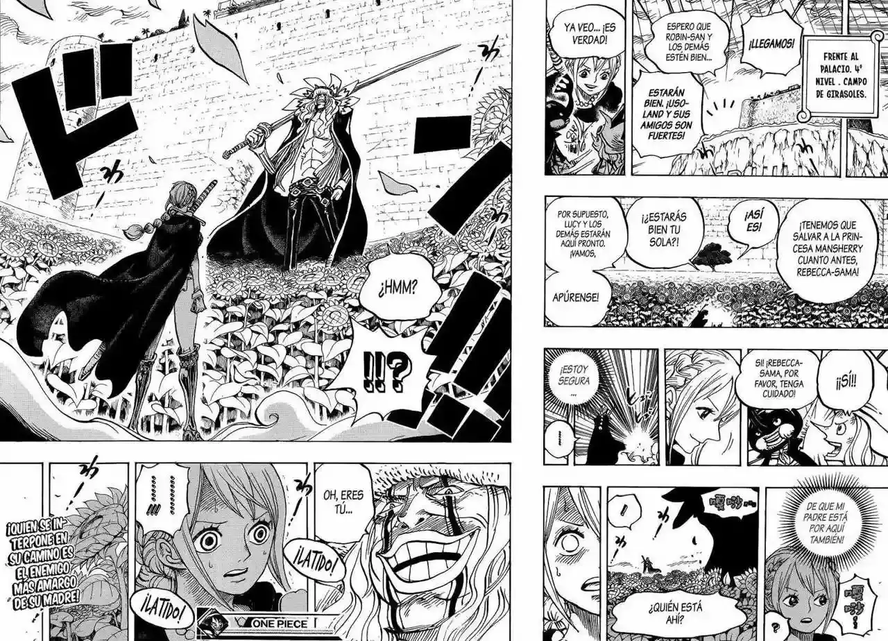 Read One Piece .Es Manga Online