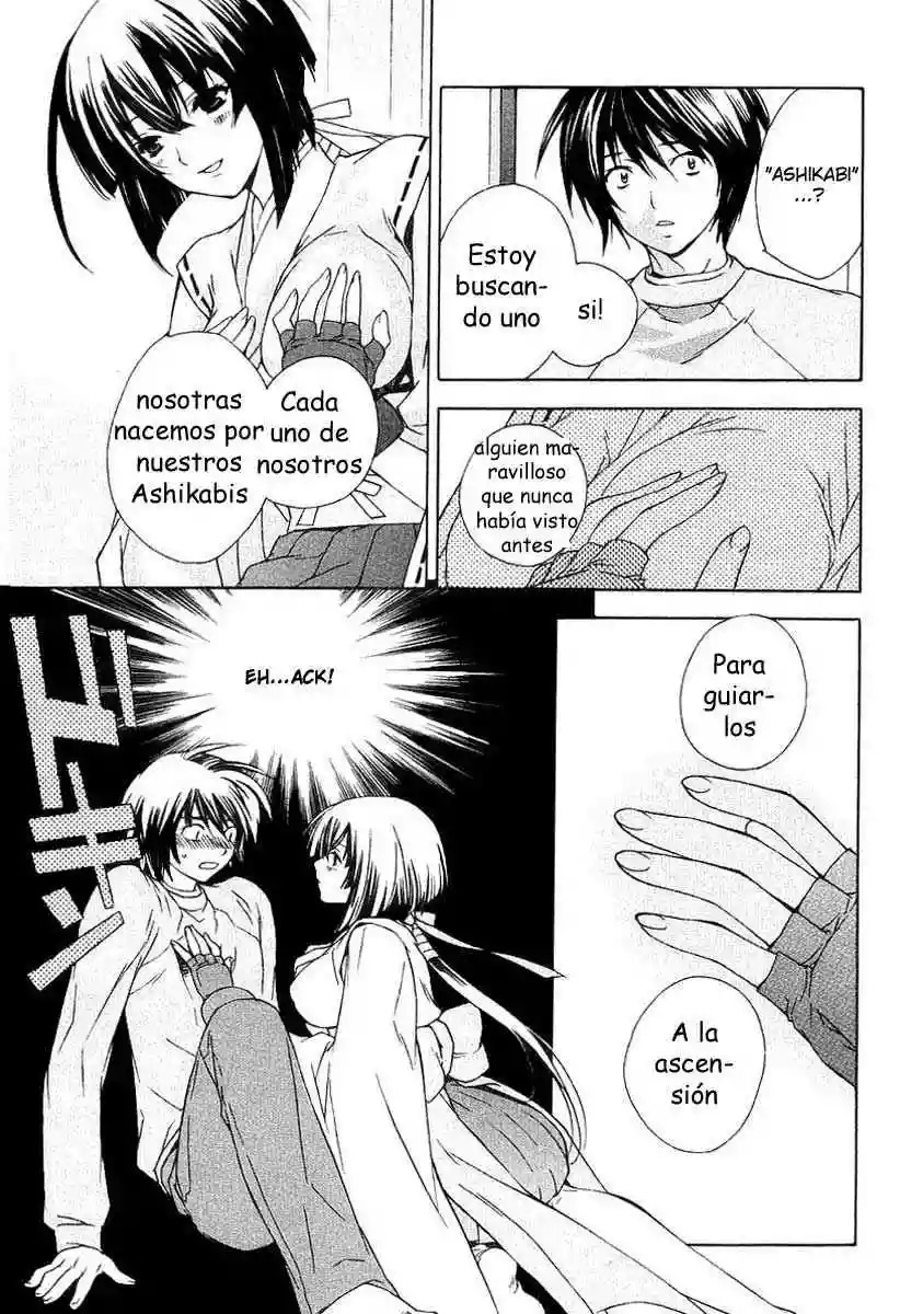 Read Sekirei es Manga Online