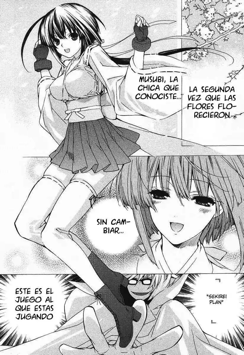 Read Sekirei es Manga Online
