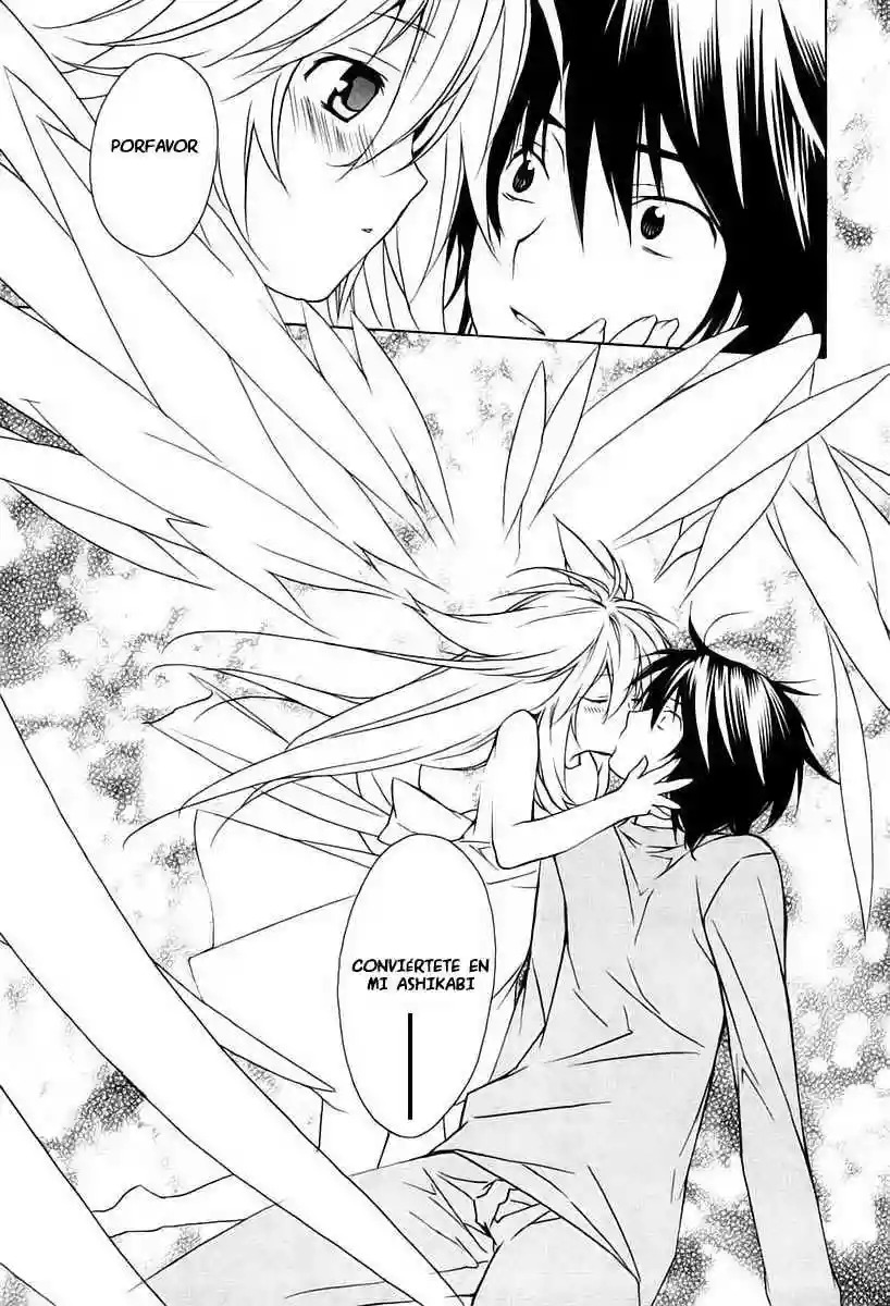 Read Sekirei es Manga Online