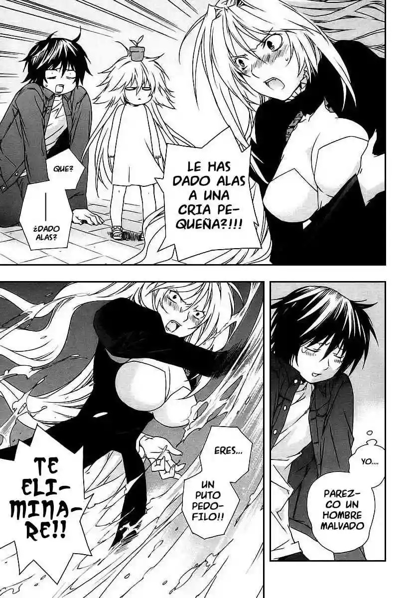 Read Sekirei es Manga Online